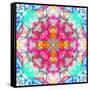 A Mandala Ornament from Flowers, Photograph, Many Layer Artwork-Alaya Gadeh-Framed Stretched Canvas