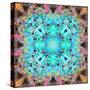 A Mandala Ornament from Flowers, Photograph, Many Layer Artwork-Alaya Gadeh-Stretched Canvas