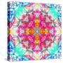 A Mandala Ornament from Flowers, Photograph, Many Layer Artwork-Alaya Gadeh-Stretched Canvas