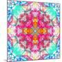 A Mandala Ornament from Flowers, Photograph, Many Layer Artwork-Alaya Gadeh-Mounted Photographic Print