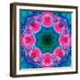 A Mandala Ornament from Flowers, Photograph, Many Layer Artwork-Alaya Gadeh-Framed Photographic Print