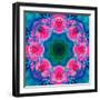 A Mandala Ornament from Flowers, Photograph, Many Layer Artwork-Alaya Gadeh-Framed Photographic Print