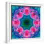 A Mandala Ornament from Flowers, Photograph, Many Layer Artwork-Alaya Gadeh-Framed Photographic Print