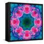 A Mandala Ornament from Flowers, Photograph, Many Layer Artwork-Alaya Gadeh-Framed Stretched Canvas