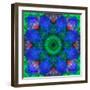 A Mandala Ornament from Flowers, Photograph, Many Layer Artwork-Alaya Gadeh-Framed Photographic Print