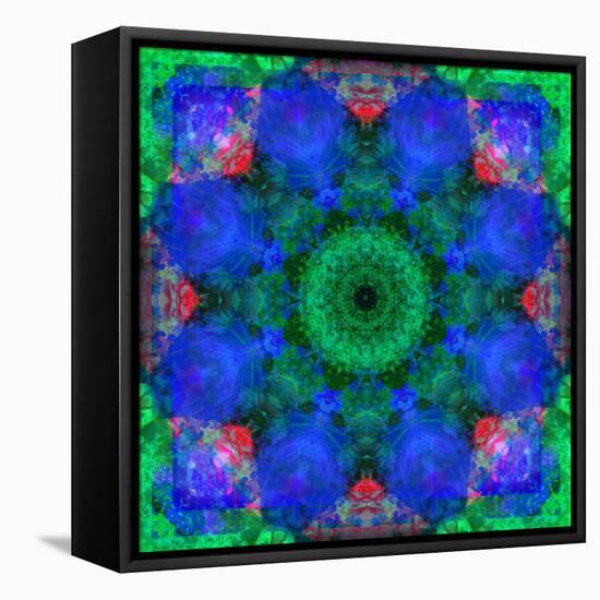 A Mandala Ornament from Flowers, Photograph, Many Layer Artwork-Alaya Gadeh-Framed Stretched Canvas