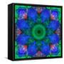 A Mandala Ornament from Flowers, Photograph, Many Layer Artwork-Alaya Gadeh-Framed Stretched Canvas