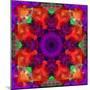 A Mandala Ornament from Flowers, Photograph, Many Layer Artwork-Alaya Gadeh-Mounted Photographic Print