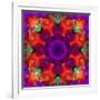 A Mandala Ornament from Flowers, Photograph, Many Layer Artwork-Alaya Gadeh-Framed Photographic Print