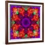 A Mandala Ornament from Flowers, Photograph, Many Layer Artwork-Alaya Gadeh-Framed Photographic Print