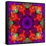 A Mandala Ornament from Flowers, Photograph, Many Layer Artwork-Alaya Gadeh-Framed Stretched Canvas