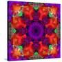 A Mandala Ornament from Flowers, Photograph, Many Layer Artwork-Alaya Gadeh-Stretched Canvas