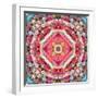 A Mandala Ornament from Flowers, Photograph, Many Layer Artwork-Alaya Gadeh-Framed Photographic Print