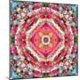 A Mandala Ornament from Flowers, Photograph, Many Layer Artwork-Alaya Gadeh-Mounted Photographic Print