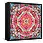 A Mandala Ornament from Flowers, Photograph, Many Layer Artwork-Alaya Gadeh-Framed Stretched Canvas