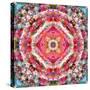 A Mandala Ornament from Flowers, Photograph, Many Layer Artwork-Alaya Gadeh-Stretched Canvas