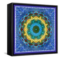 A Mandala Ornament from Flowers, Photograph, Many Layer Artwork-Alaya Gadeh-Framed Stretched Canvas