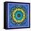 A Mandala Ornament from Flowers, Photograph, Many Layer Artwork-Alaya Gadeh-Framed Stretched Canvas