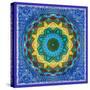 A Mandala Ornament from Flowers, Photograph, Many Layer Artwork-Alaya Gadeh-Stretched Canvas