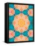 A Mandala Ornament from Flowers, Photograph, Many Layer Artwork-Alaya Gadeh-Framed Stretched Canvas