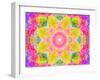 A Mandala Ornament from Flowers, Photograph, Many Layer Artwork-Alaya Gadeh-Framed Photographic Print