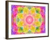 A Mandala Ornament from Flowers, Photograph, Many Layer Artwork-Alaya Gadeh-Framed Photographic Print