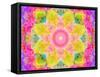 A Mandala Ornament from Flowers, Photograph, Many Layer Artwork-Alaya Gadeh-Framed Stretched Canvas