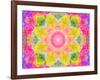 A Mandala Ornament from Flowers, Photograph, Many Layer Artwork-Alaya Gadeh-Framed Photographic Print