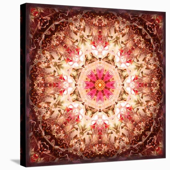 A Mandala Ornament from Flowers, Photography, Layer Artwork-Alaya Gadeh-Stretched Canvas