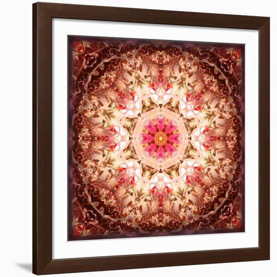 A Mandala Ornament from Flowers, Photography, Layer Artwork-Alaya Gadeh-Framed Photographic Print