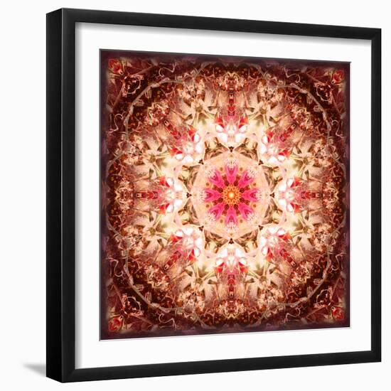 A Mandala Ornament from Flowers, Photography, Layer Artwork-Alaya Gadeh-Framed Photographic Print