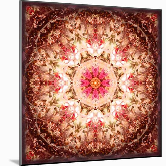 A Mandala Ornament from Flowers, Photography, Layer Artwork-Alaya Gadeh-Mounted Photographic Print