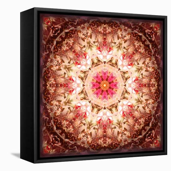 A Mandala Ornament from Flowers, Photography, Layer Artwork-Alaya Gadeh-Framed Stretched Canvas