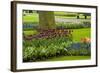 A Manicured Flower Garden of Tulips and Grape Hyacinths-Sheila Haddad-Framed Photographic Print