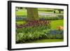 A Manicured Flower Garden of Tulips and Grape Hyacinths-Sheila Haddad-Framed Photographic Print