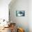 A Manta Ray Swims into the Sun in the Tropical Pacific Ocean-Stocktrek Images-Stretched Canvas displayed on a wall