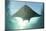 A Manta Ray Swims into the Sun in the Tropical Pacific Ocean-Stocktrek Images-Mounted Photographic Print