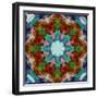 A Many Layered Flower Mandala-Alaya Gadeh-Framed Photographic Print