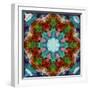 A Many Layered Flower Mandala-Alaya Gadeh-Framed Photographic Print