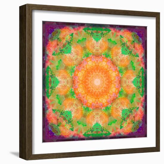 A Many Layered Flower Mandala-Alaya Gadeh-Framed Photographic Print