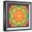 A Many Layered Flower Mandala-Alaya Gadeh-Framed Photographic Print