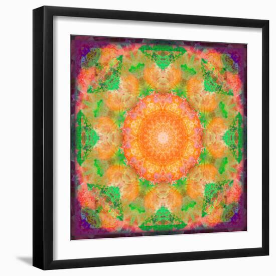 A Many Layered Flower Mandala-Alaya Gadeh-Framed Photographic Print