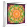 A Many Layered Flower Mandala-Alaya Gadeh-Framed Photographic Print