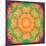 A Many Layered Flower Mandala-Alaya Gadeh-Mounted Photographic Print