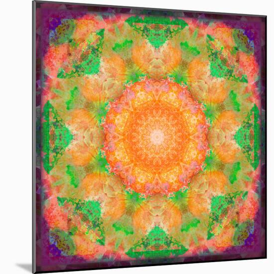 A Many Layered Flower Mandala-Alaya Gadeh-Mounted Photographic Print