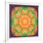 A Many Layered Flower Mandala-Alaya Gadeh-Framed Photographic Print