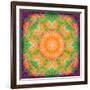 A Many Layered Flower Mandala-Alaya Gadeh-Framed Photographic Print