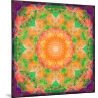 A Many Layered Flower Mandala-Alaya Gadeh-Mounted Photographic Print