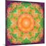 A Many Layered Flower Mandala-Alaya Gadeh-Mounted Photographic Print