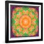 A Many Layered Flower Mandala-Alaya Gadeh-Framed Photographic Print